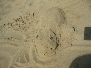 Strand Schildkröte Selfmade xD